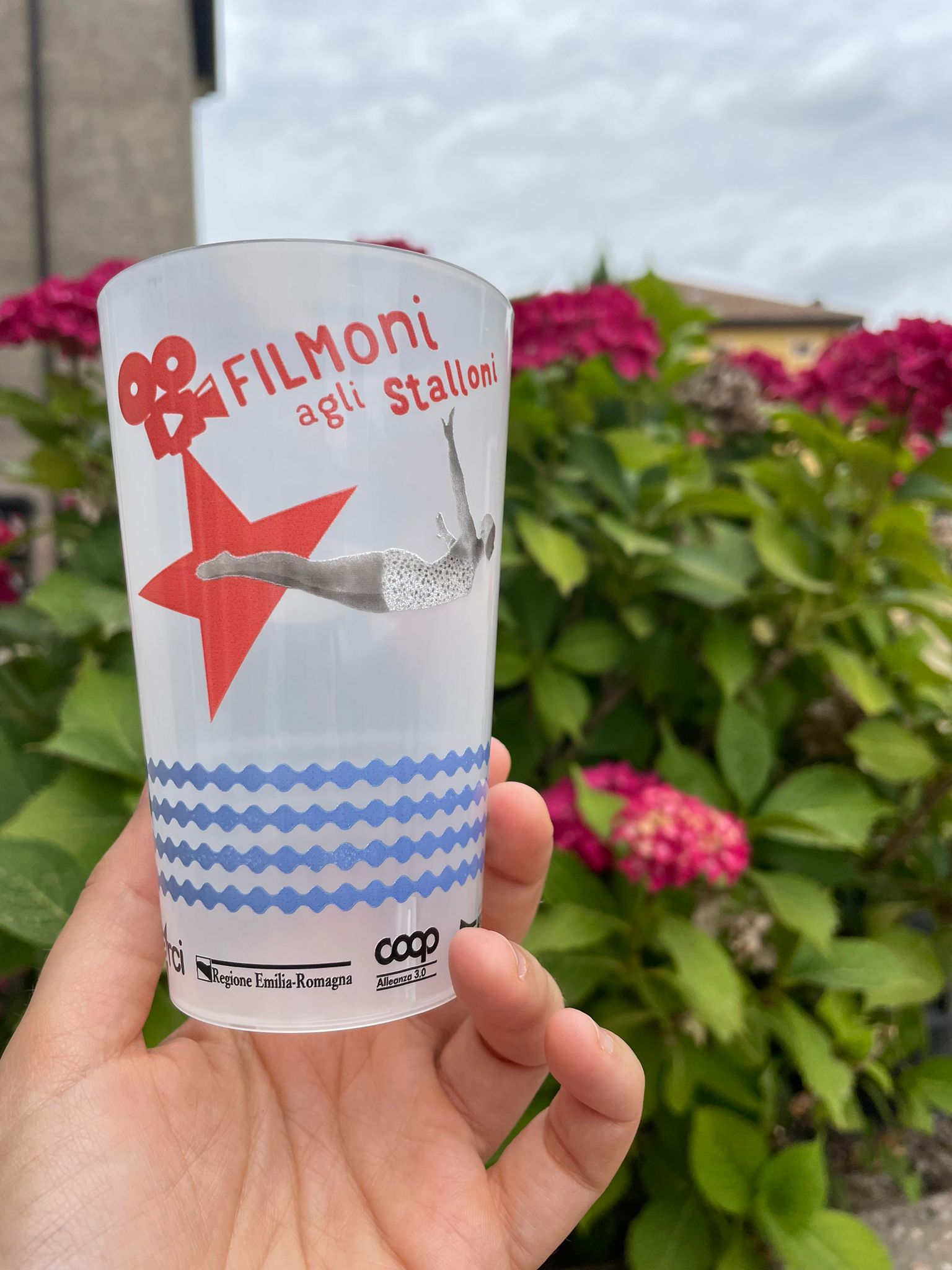 Filmoni agli stalloni - Bicchieri
